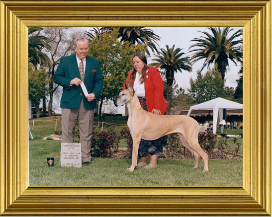 Remi wins Veterans again