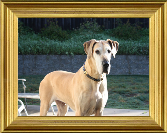 Another shot of Sara